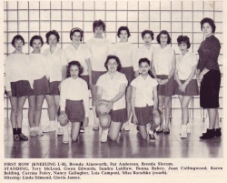 1961 - 62, Junior Girls Volleyball