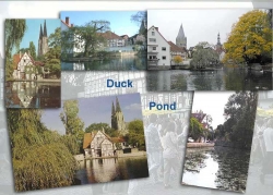 Soest Duck Pond Postcard