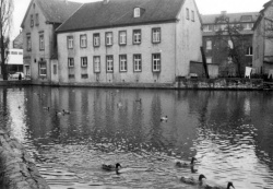 1963 Duck Pond.jpg